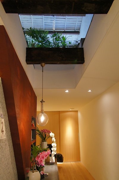 ���e������ �̓���