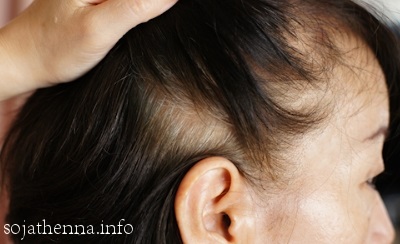 Sojat Henna Care�@�����̏��