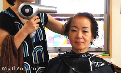 Sojat Henna Care�@�菇�U�@�h���C���[�Ŕ����ɂ��܂�