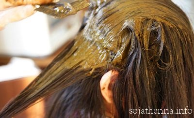 �\�W���b�g�w�i �C���h���x�� ����K�q����Ƀw�i��h��܂�