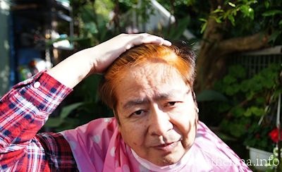 �\�W���b�g�w�i�@60��j���̃w�i�P�A