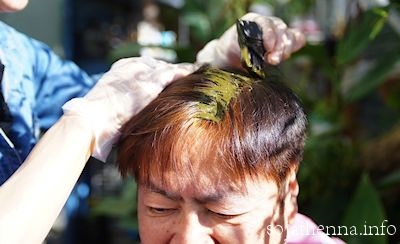 �\�W���b�g�w�i�@60��j���̃w�i�P�A