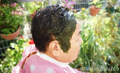 �\�W���b�g�w�i�@60��j���̃A�v���[�`