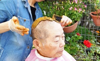 �\�W���b�g�w�i�@70��j���̃w�i�P�A