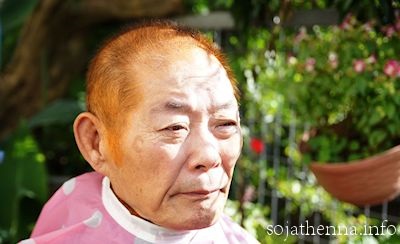 �\�W���b�g�w�i�@70��j���̃w�i�P�A