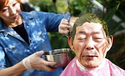 �\�W���b�g�w�i�@70��j���̃w�i�P�A