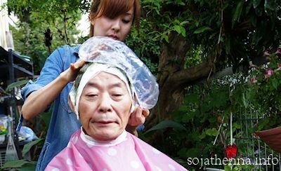 �\�W���b�g�w�i�@70��j���̃w�i�P�A