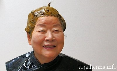 Sojat Henna Care�@�����ł�