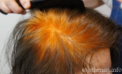 �\�W���b�g�w�i�@sojat henna�@�􂢗����Ƃ��̐��܂�I