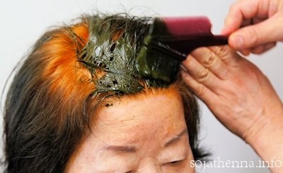 Sojat Henna Care�@�w�R�[�q�[�u���E���x��u���Ă����܂��B