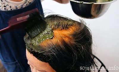 Sojat Henna Care�@��������