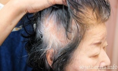 �\�W���b�g�@�w�i�@sojat henna�@���i�͂���قǔ�����L�΂����Ƃ͂Ȃ��B