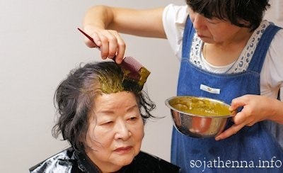 �\�W���b�g�@�w�i�@sojat henna�@�w�T�t�����I�����W�x��u���Ă����܂�