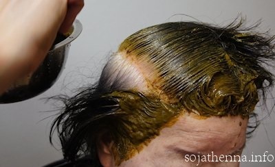 �\�W���b�g�@�w�i�@sojat henna�@���т��g�����P�A�ł��B