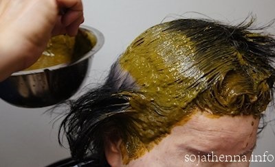 �\�W���b�g�@�w�i�@sojat henna�@�w�i��u���܂��B