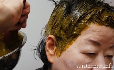 �\�W���b�g�@�w�i�@sojat henna�@�h��ɂ������ɂ�����