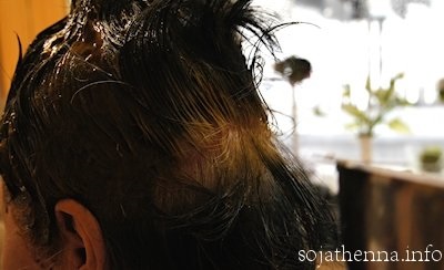 �\�W���b�g�@�w�i�@sojat henna�@����ɓh��ɂ����̂��㓪���ł�