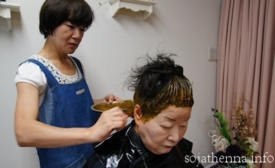 �\�W���b�g�w�i�@sojat henna�@���͏�ɂ܂Ƃ߂Ă����܂�