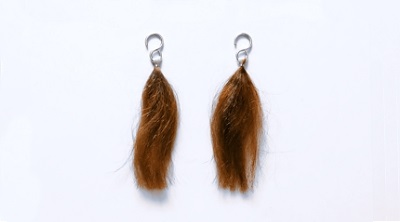 �\�W���b�g�w�i�@�`���R���[�g�u���E���̐��F�e�X�g��