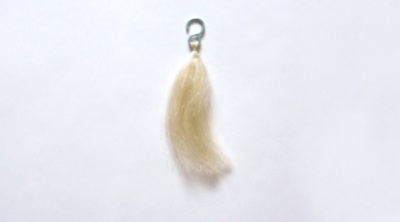 �\�W���b�g�w�i�@�g���[�g�����g�N���A�̐��F�e�X�g��