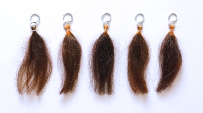 �\�W���b�g�w�i�@�T�t�����I�����W�ƃR�[�q�[�u���E���̑g�ݍ��킹