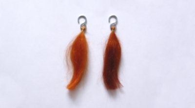 �\�W���b�g�w�i�@�T�t�����I�����W�̐��F�e�X�g��