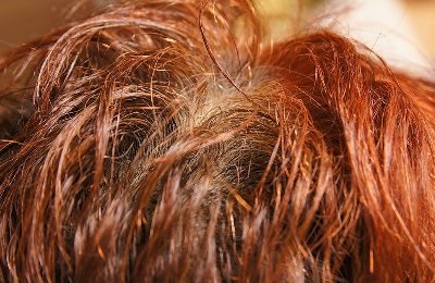 �w�i�P�A�O