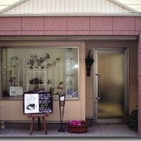 �T�����h�L���A�l